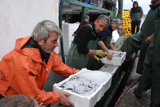 Bartın'da ağ atan balıkçılar, tonlarca hamsiyle döndü