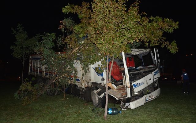 Ağaçlara çarpan kurban yüklü kamyonun sürücüsü yaralandı