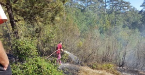 Ulus’ta Çıkan Arazi Yangını Kontrol Altına Alındı
