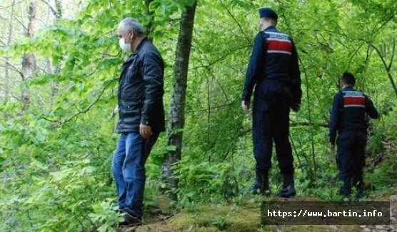 Ormanda Kaybolan Yaşlı Adam Aranıyor
