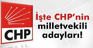 İşte CHP'nin Adayları
