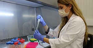 Bartın'a Gelenlere PCR Testi Yapılacak