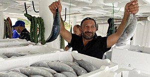 Amasralı Balıkçılar 40 Ton Palamutla Döndü